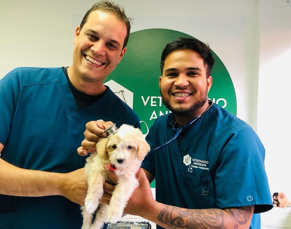 Caracas tiene veterinarios a domicilio y estas son sus tarifas