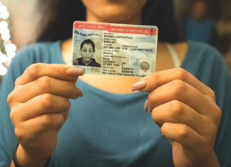 EN CLAVES | Indocumentados en EEUU ahora tendrán más posibilidades de obtener una Green Card