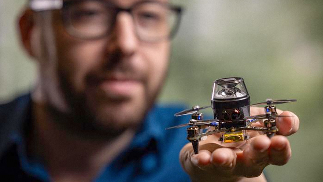 Crean un minirobot inspirado en las hormigas