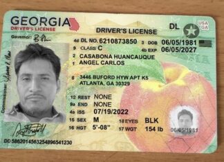 Georgia | Activan servicio de alerta para renovar la licencia de conducir