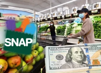 EEUU | ¿Quiénes estarán recibiendo beneficios SNAP del 8 al 13 de julio? (+Lista)