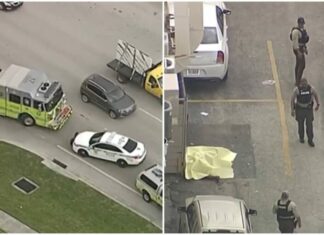 Un muerto y dos heridos por tiroteo en Miami-Dade (+Detalles)