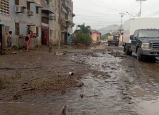 Así avanzan las labores de apoyo en Cumanacoa (+Detalles)