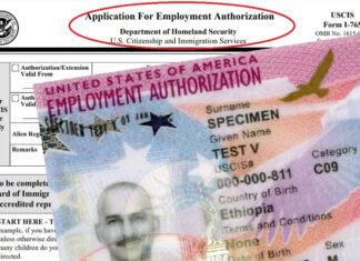 EEUU | ¿Quiénes son elegibles para la extensión del permiso de trabajo? (+Ventajas)