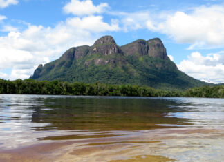 Venezuela y Brasil establecen proyecto de trabajo en el Amazonas (+Detalles)