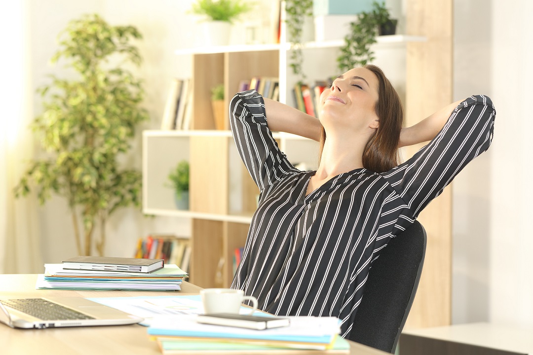 Guía para mejorar la calidad del aire dentro de casa