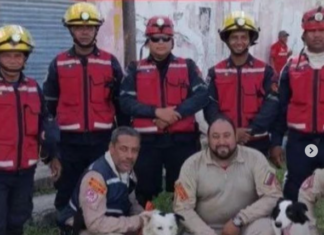 Activan protocolo canino para búsqueda de personas en Cumanacoa (+Fotos)