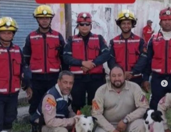 Activan protocolo canino para búsqueda de personas en Cumanacoa (+Fotos)