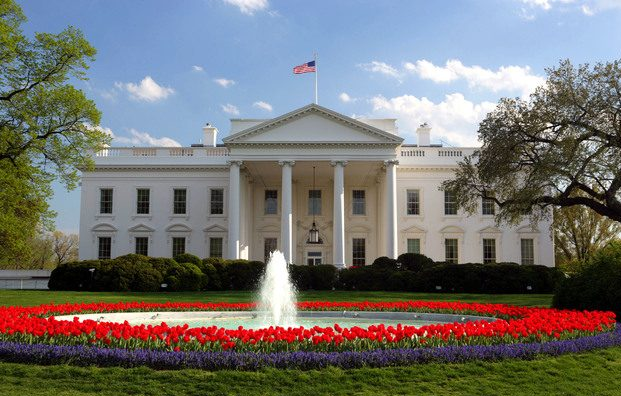 Encuesta: ¿Quién tienen más posibilidades de mantener la Casa Blanca si Biden no es el candidato?