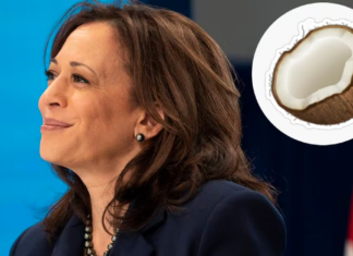 ¿Por qué seguidores utilizan un emoji de coco para Kamala Harris?