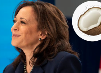 Registran récord de votantes latinos que respaldarán a Kamala Harris