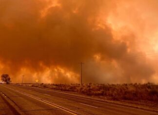 Todo lo que debe saber sobre la ayuda de Texas a California por los recientes incendios