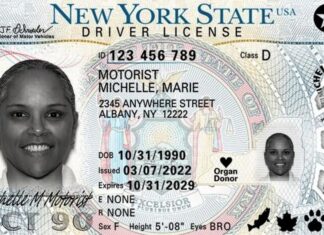 Nueva York | Conozca los requisitos para que un inmigrante solicite la licencia de conducir