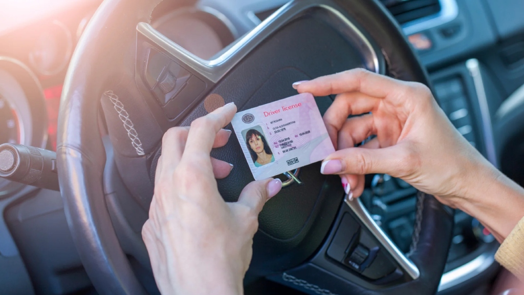 California | ¿Cómo descargar la licencia de conducir digital en tu celular?