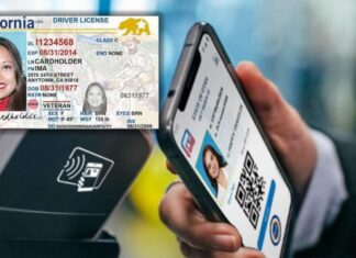 California | Así puedes tramitar la licencia de conducir de manera digital (+Requisitos)