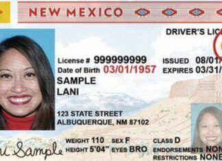 EEUU | Por estas razones Nuevo México revoca la licencia de conducir  