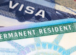 EEUU | ¿Quiénes pueden postularse activamente para obtener la Green Card?: Según USCIS