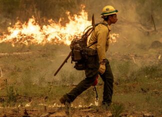 California | Hombre es acusado por causar voraz incendio forestal