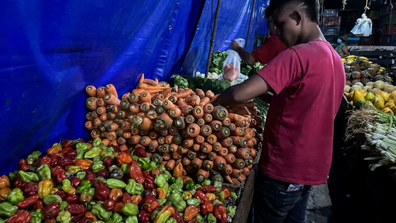 Caracas | Este es el nuevo servicio que ofrecen las ferias de los gochos (+PRECIO)