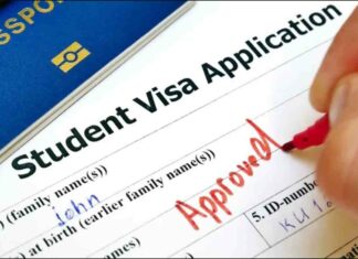 EEUU | ¿Cómo se mantiene la visa de estudiante? Conoce ley de Estados Unidos