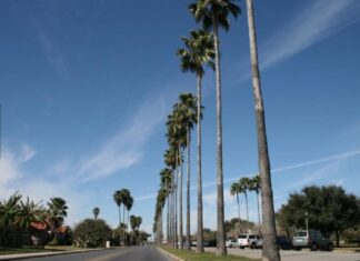 EEUU: La ciudad de Texas considerada la más barata para vivir