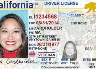 California | Así puede una persona tramitar la Real ID de manera gratuita 