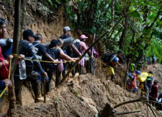 Selva del Darién: Venezolana fallece tras caer de montaña pantanosa (+Detalles)