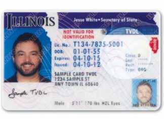 Illinois | Conoce quienes pueden pedir la licencia TVDL y para qué sirve
