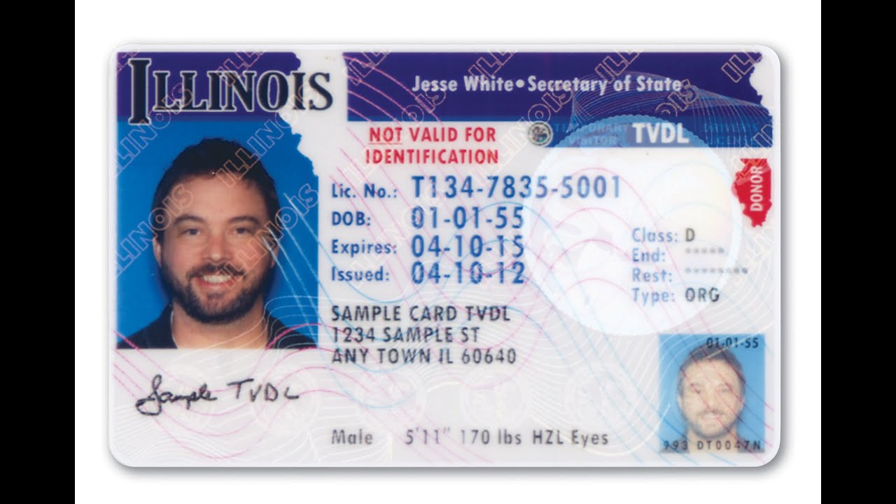 Illinois | Conoce quienes pueden pedir la licencia TVDL y para qué sirve
