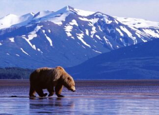 EEUU | Estos son los rincones que no puedes dejar en visitar en Alaska