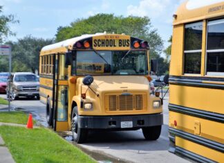 EEUU | Licencia para conducir bus escolar en Houston: Estos son los requisitos