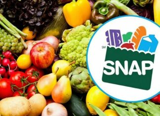 EEUU | Conozca qué tipo de los alimentos pueden comprar los beneficiarios SNAP (+Lista)