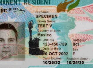 EEUU | Green Card para mexicanos: Estos son los requisitos y el trámite