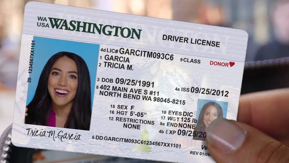 EEUU: Nuevas licencias de conducir para indocumentados sirven como identificación en Illinois