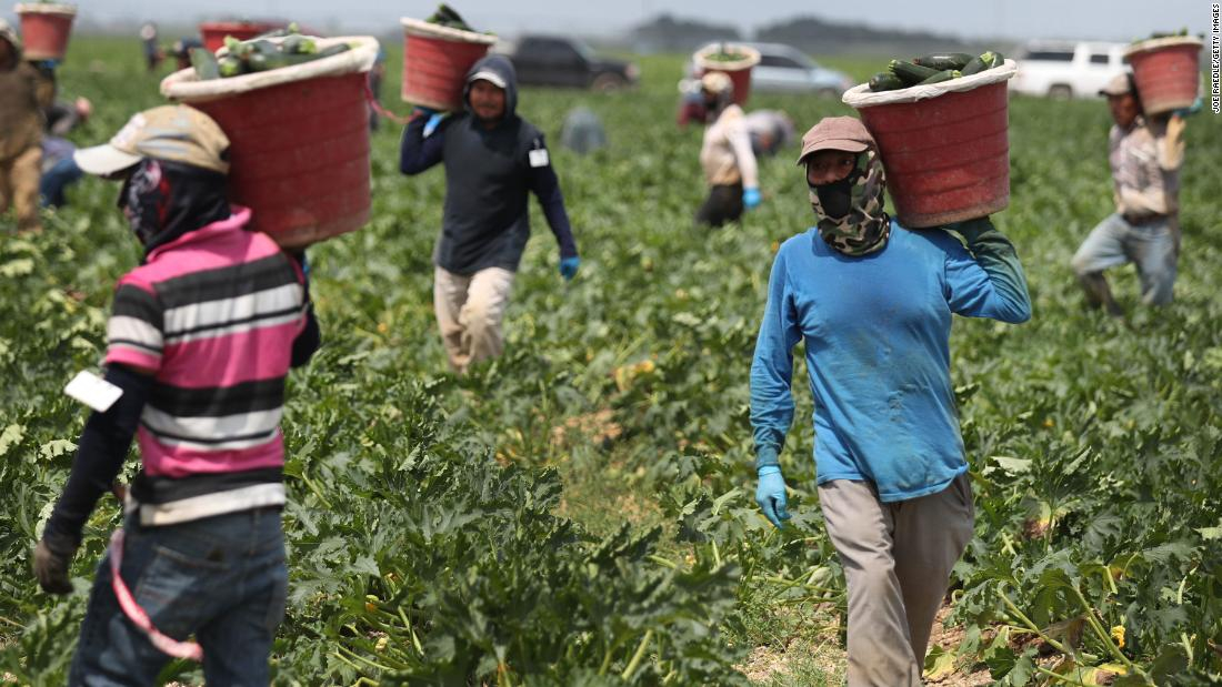 ¿Qué estados tendrán mayor demanda de trabajadores migrantes? (+Cifras)
