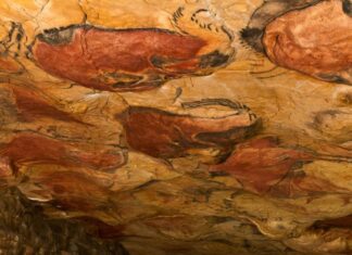 Científicos descifran las pinturas más antiguas de la humanidad