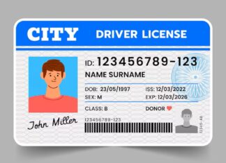 Florida | Descubra el cambio que tendrán las licencias de conducir desde este #1Ago