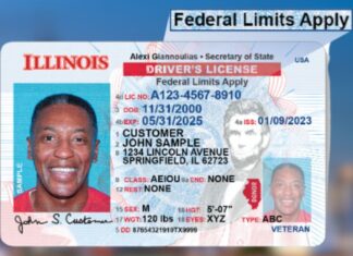 Illinois | Esto es lo que requiere un indocumentado para obtener su licencia de conducir estándar (+Documentos)
