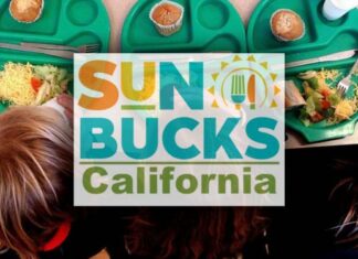 California | Sepa cómo activar su tarjeta con los SUN Bucks (+Detalles)