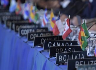 ¿Qué dijeron Brasil y Colombia sobre Venezuela en la sesión de la OEA? (+Videos)