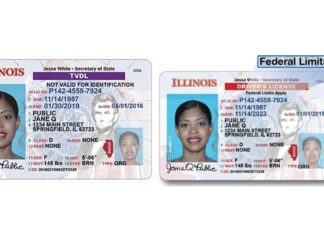 Illinois | Así puede hacer el cambio del TVDL por la nueva licencia de conducir para indocumentados