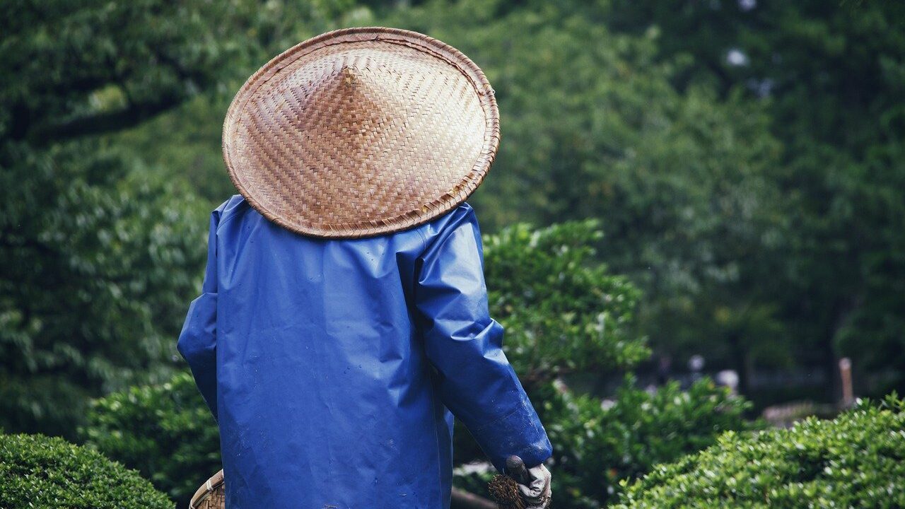 EEUU: En Texas solicitan jardineros ante escasez de mano de obra