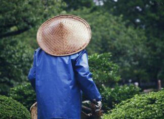 EEUU: En Texas solicitan jardineros ante escasez de mano de obra