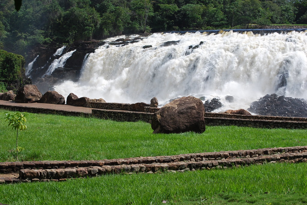 Este parque es la joya venezolana que todo extranjero quieren visitar