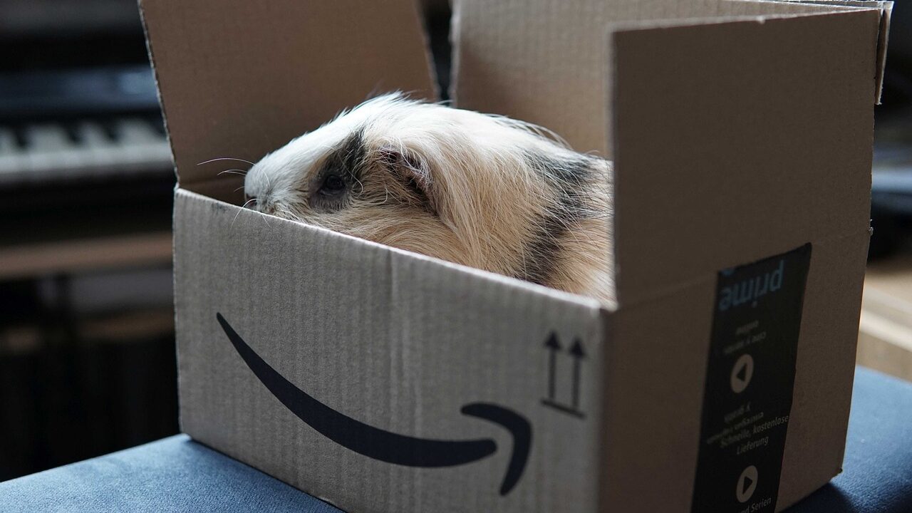 EEUU | ¿Cómo ahorrar en Amazon comprando artículos usados o con cajas abiertas?