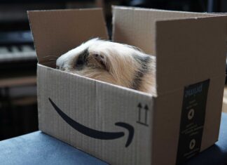 EEUU | ¿Cómo ahorrar en Amazon comprando artículos usados o con cajas abiertas?