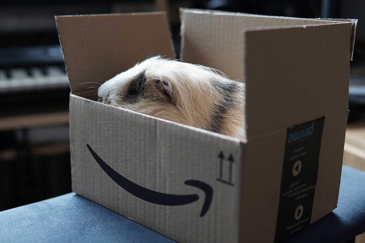 EEUU | ¿Cómo ahorrar en Amazon comprando artículos usados o con cajas abiertas?