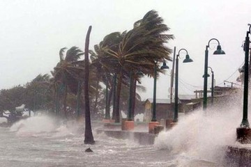 Florida| Tormenta Debby se convierte en huracán categoría 1