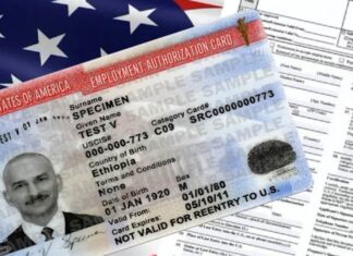 EEUU | Así puede una persona tramitar el permiso de trabajo vía online (+Requisitos)