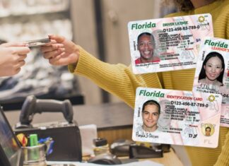 Florida | Esta es la nueva actualización para quienes tramiten la licencia de conducir  